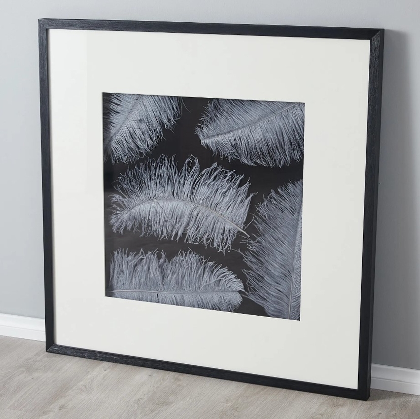 Grey Feather Shadow Box