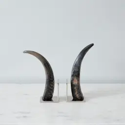 Tusk Natural Nickel Bookends 