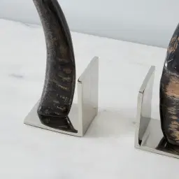 Tusk Natural Nickel Bookends 
