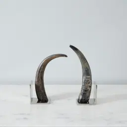 Tusk Natural Nickel Bookends 