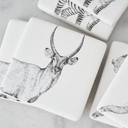 Savannah Coaster Set of 6 