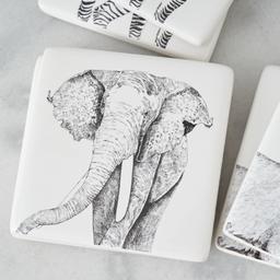 Savannah Coaster Set of 6 
