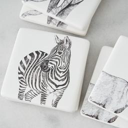 Savannah Coaster Set of 6 