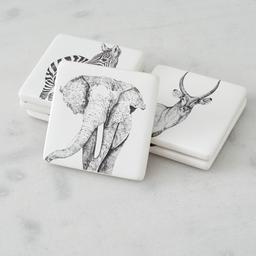 Savannah Coaster Set of 6 