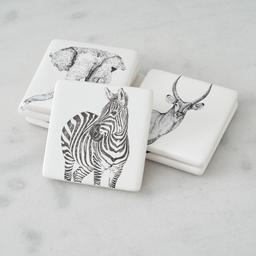 Savannah Coaster Set of 6 