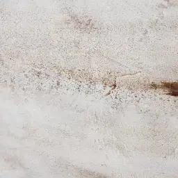 Wilting Tree Painting 