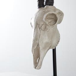 Antelope head Lamp