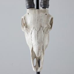 Antelope head Lamp
