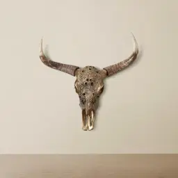 Carved Skull Wall Hanging