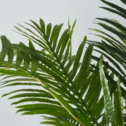 Areca Palm 190cm Decorative Plant