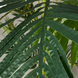 Areca Palm 190cm Decorative Plant