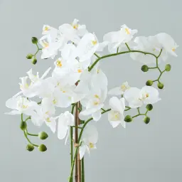 Phalaenopsis Decorative Plant 73cm - With Planter