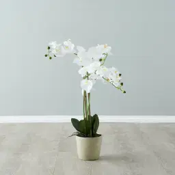 Phalaenopsis Decorative Plant 73cm - With Planter