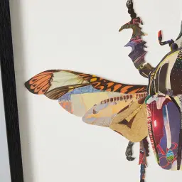 Rhino Beetle Framed Paper Collage
