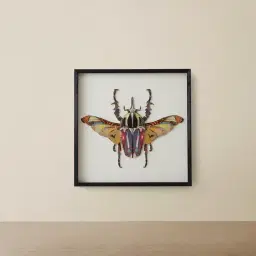 Rhino Beetle Framed Paper Collage