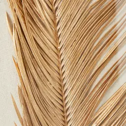 Golden Leaf Shadow Box