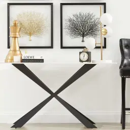 Brass Colour Sea Fan Shadow Box Frame