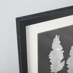 Cycas Silver Leaf Shadow Box 