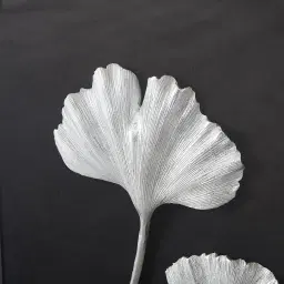 Ginkgo Silver Leaf Shadow Box 