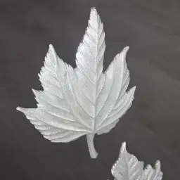 Maple Silver Leaf Shadow Box 