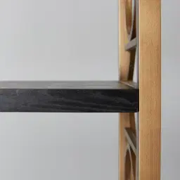 Eugenie Black Wooden Veneer Bookshelf