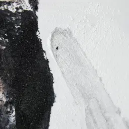 Natural Abstract Painting