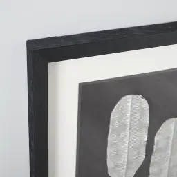 Banana II Silver Leaf Shadow Box 