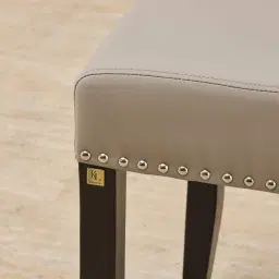 Viktor Stone Beige Vegan Leather Dining Chair