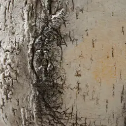 Julian Rustic White Vase