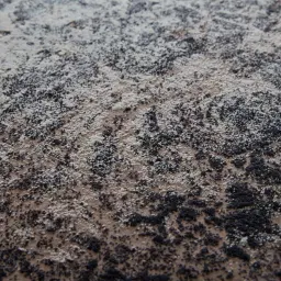 Amidala Floor Rug - Medium 200cm x 300cm