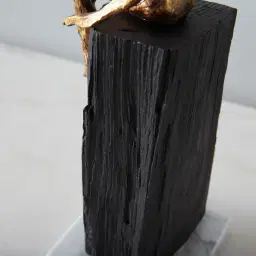 Mauritius Decorative