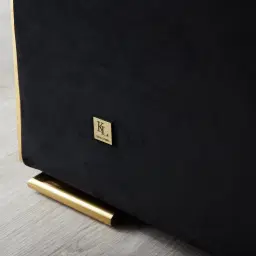 Leola Black Velvet 2-Seater Sofa