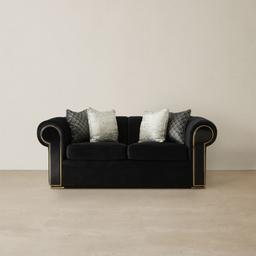 Leola Black Velvet 2-Seater Sofa