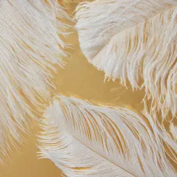 White Quills Shadow Box 