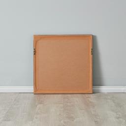 Silver Sea Plume Shadow Box