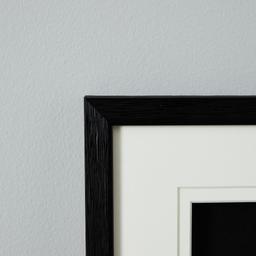 Silver Sea Plume Shadow Box
