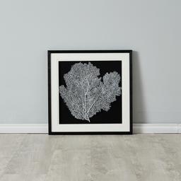 Silver Sea Plume Shadow Box