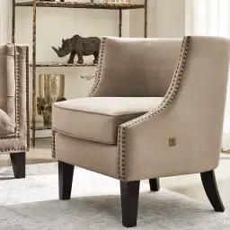 Vogue Beige Velvet Chair 