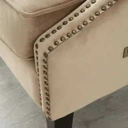 Vogue Beige Velvet Chair 