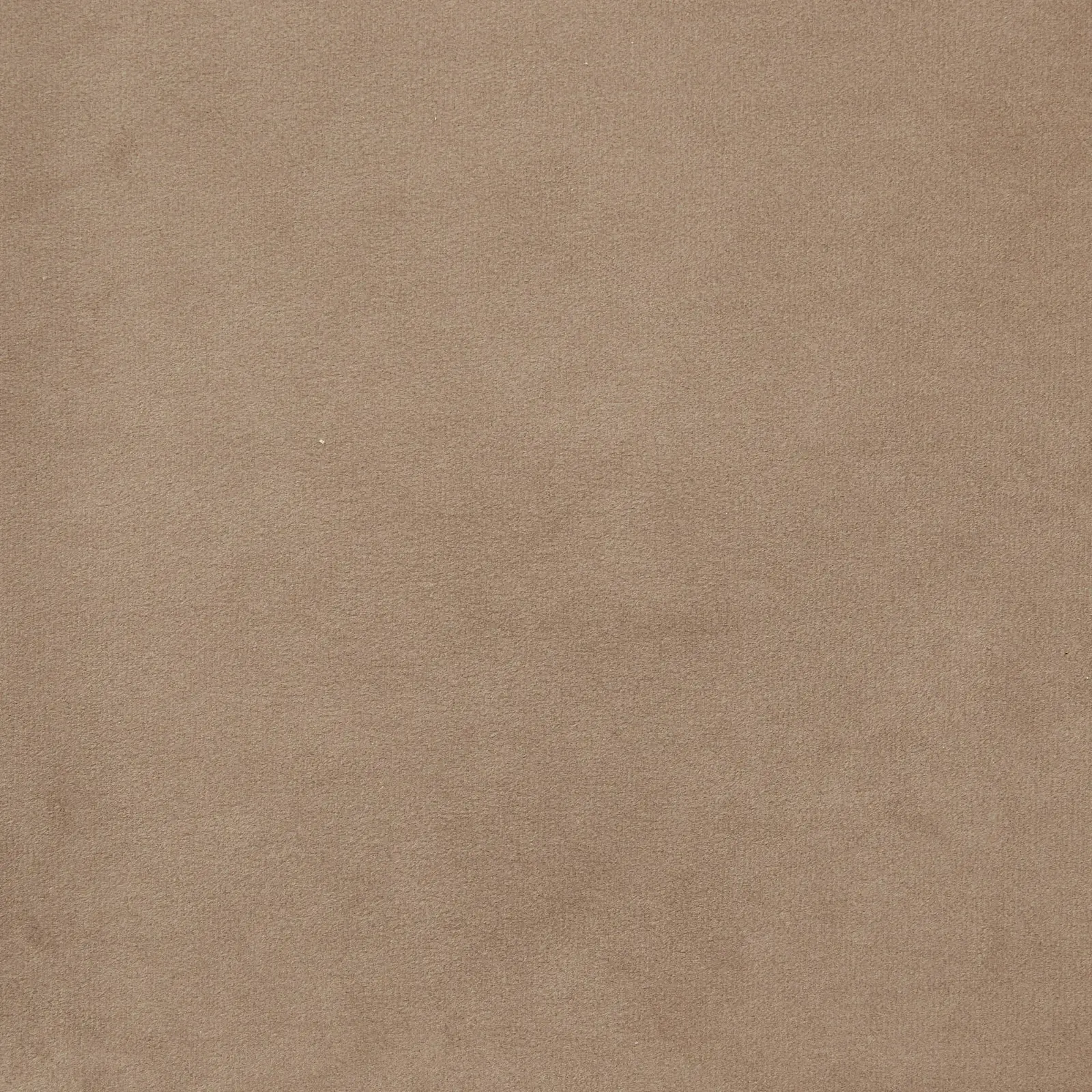 Berdine Beige Velvet Occasional Chair