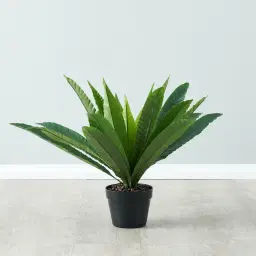 Birds Nest Fern Decorative Plant 55cm