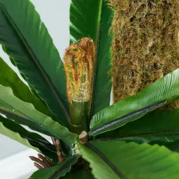 Birds Nest Fern Decorative Plant 120cm