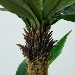 Birds Nest Fern Decorative Plant 120cm