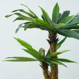 Birds Nest Fern Decorative Plant 120cm