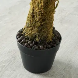 Birds Nest Fern Decorative Plant 120cm