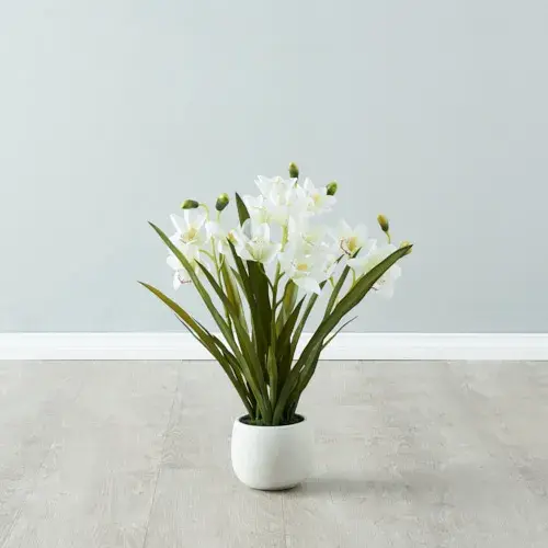 Phalaenopsis Decorative 64cm - With Planter 