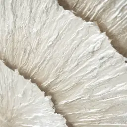 Leilani Silver and Black Paper Shadow Box 