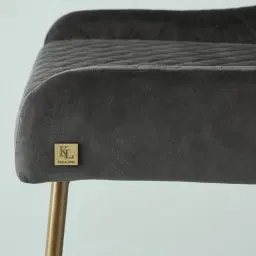 Quinn Charcoal Velvet Dining Chair - Brass Colour Legs