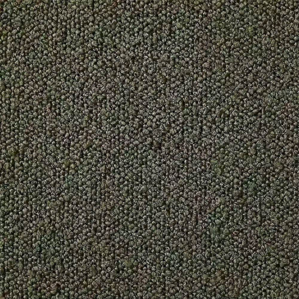 Quinn Olive Green Boucle Bar Stool - Black Legs