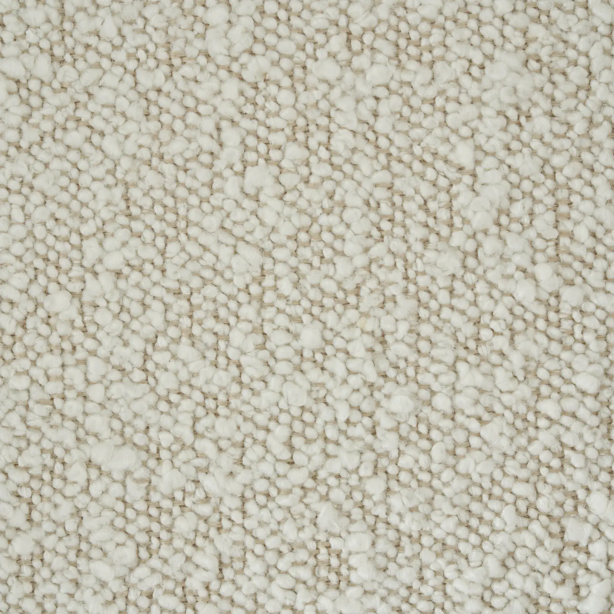 Salma Cream Boucle Occasional Chair - Black Legs